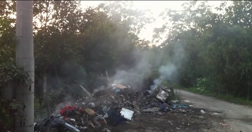 Newcastle law experts advise on landmark pollution case image